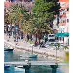 Katusic