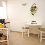 Katusic דירה קאבטאט