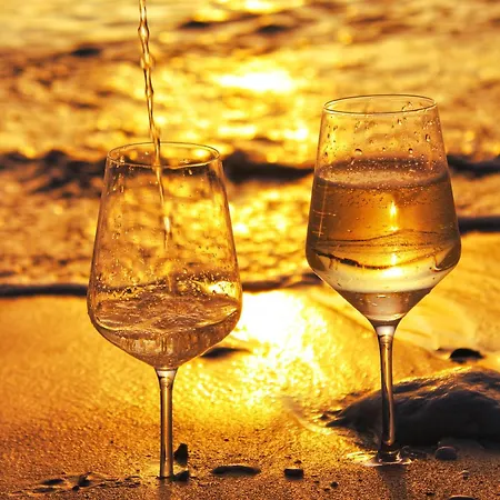 Katusic 公寓 察夫塔特