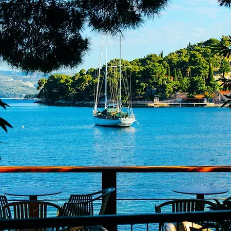 Katusic * 察夫塔特