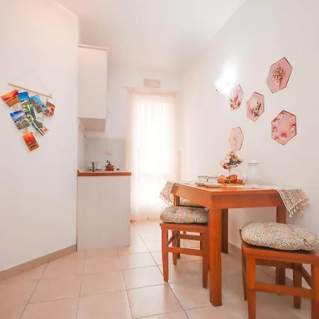 Katusic 察夫塔特