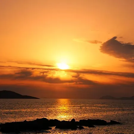 Katusic Cavtat