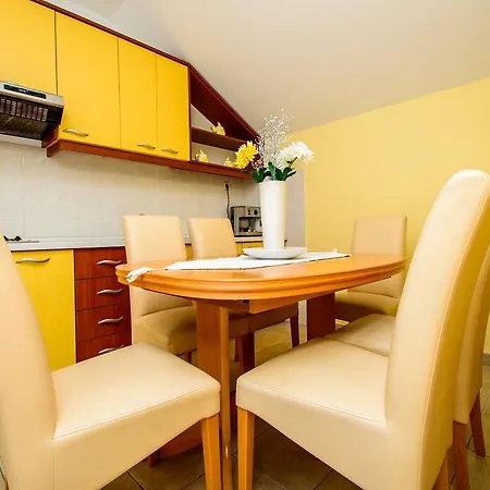 Katusic 察夫塔特